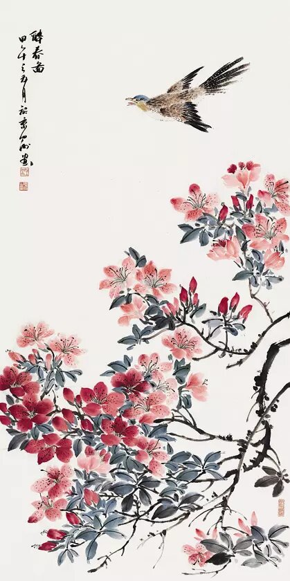 圖片